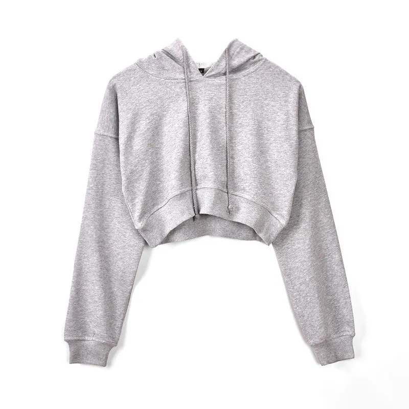 Crop Top Puffy Sleeve Pullover Hoodie Various Colors Sweater Sweatshirt