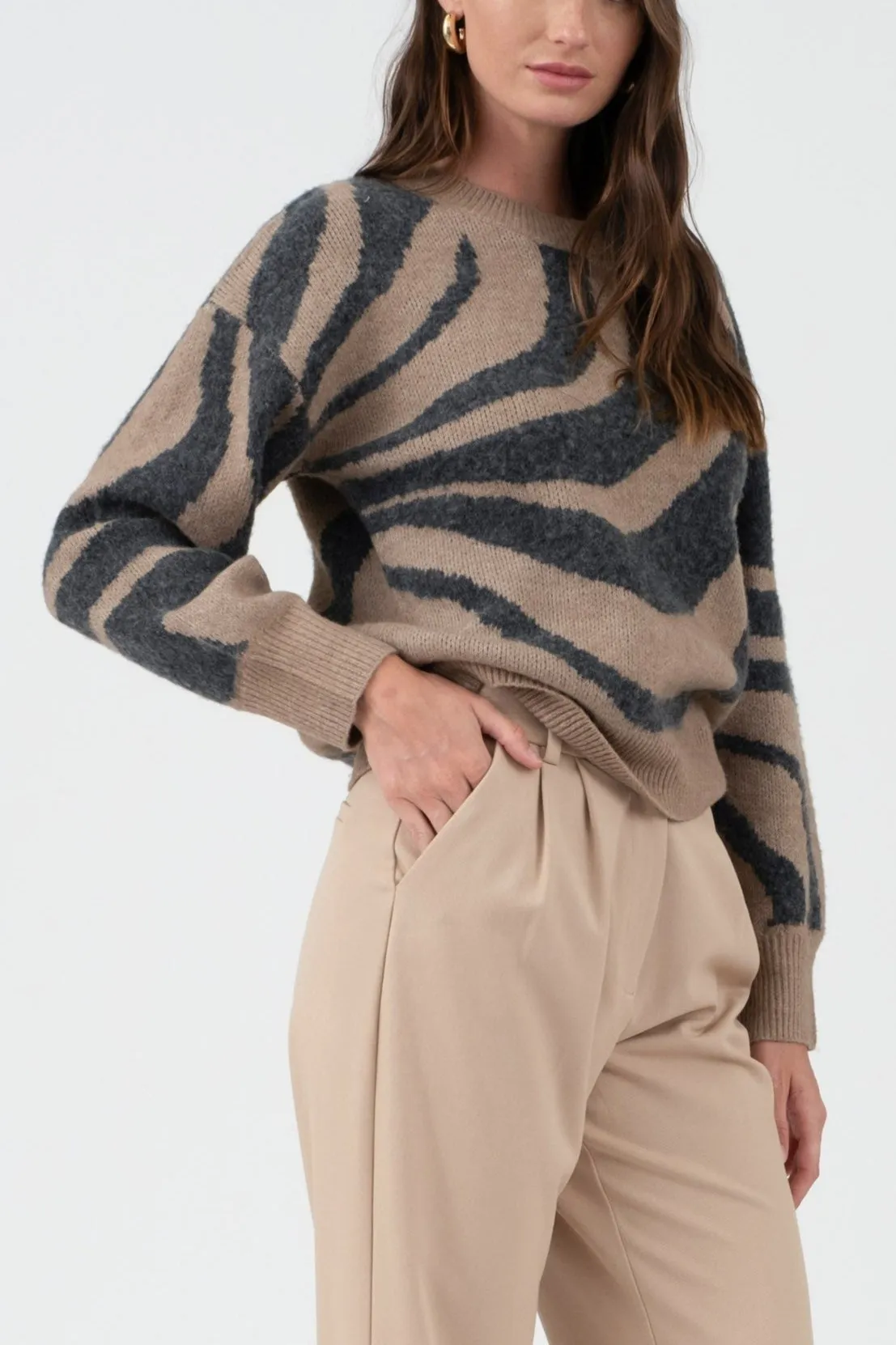 Zebra Print Long Sleeve Sweater