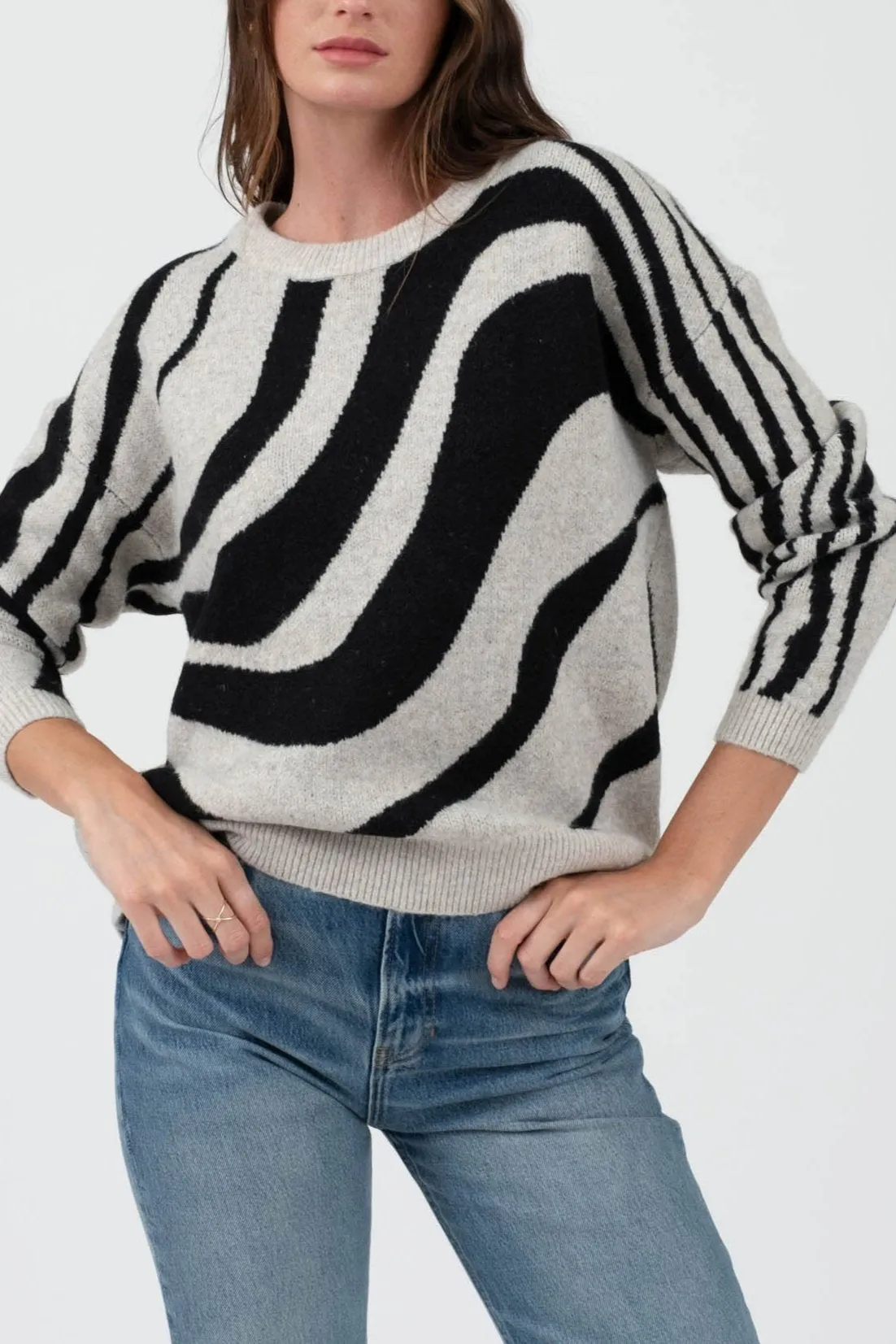 Zebra Print Long Sleeve Sweater